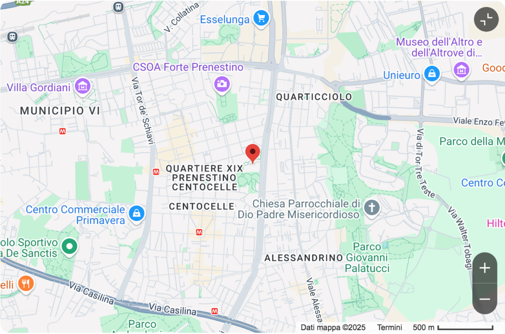 Mappa google